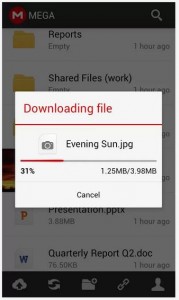 condividere file android
