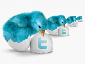 La storia di Twitter: a 8 anni dalla nascita le tappe della evoluzione