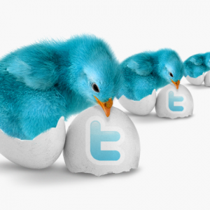 twitter