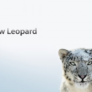 Mac OS X Apple annuncia la fine supporto Snow Leopard
