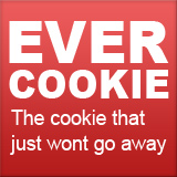 Cosa sono e come eliminare Evercookie, nuova minaccia privacy web