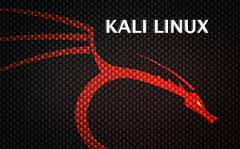 Linux Kali, successore Backtrack, miglior sistema operativo per hacker