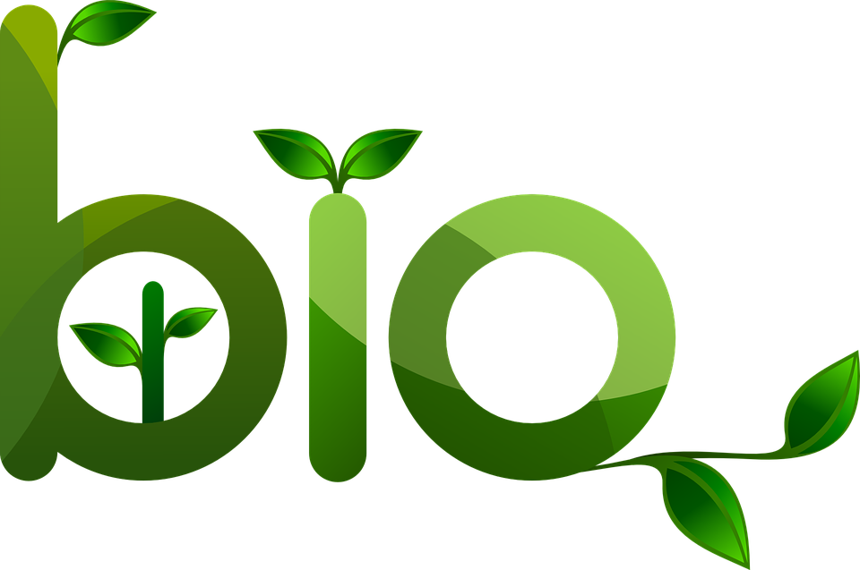 bio-web