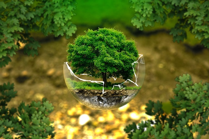 ecologia-tecnologia